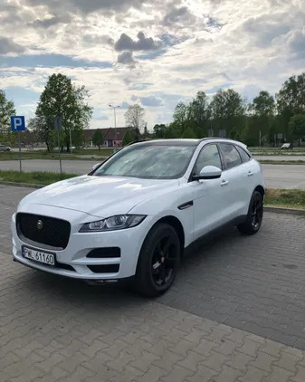 jaguar osiek Jaguar F-Pace cena 130000 przebieg: 153400, rok produkcji 2018 z Osiek